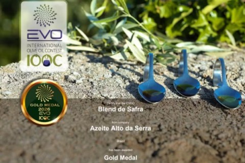 Azeite produzido no Sul de Minas ganha prêmio na Itália e fica entre os melhores da América do Sul